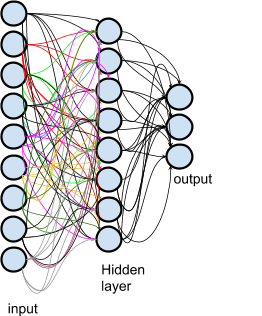 Neural Networks: Input, Hidden Layer, Output