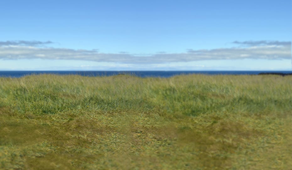 RASS-green-background.jpg